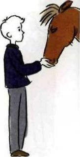 Иллюстрация к книге — 35 кило надежды [pic_55.jpg]