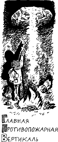 Иллюстрация к книге — Скользкий склон [i_046.png]