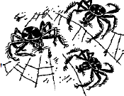 Иллюстрация к книге — Скользкий склон [i_050.png]