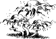 Иллюстрация к книге — Угрюмый Грот [i_042.png]