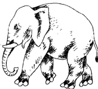 Иллюстрация к книге — Предпоследняя передряга [i_064.png]