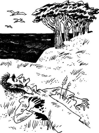 Иллюстрация к книге — Конец! [i_119.png]