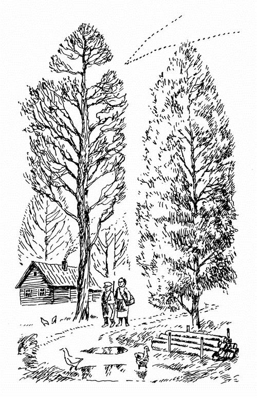 Иллюстрация к книге — Кладовая солнца. Рассказы о природе [i_009.png]