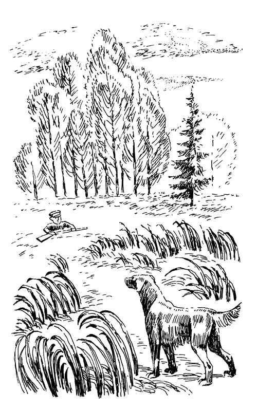 Иллюстрация к книге — Кладовая солнца. Рассказы о природе [i_013.png]