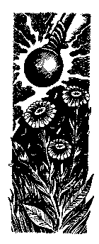 Иллюстрация к книге — Ключ от Королевства [i_006.png]