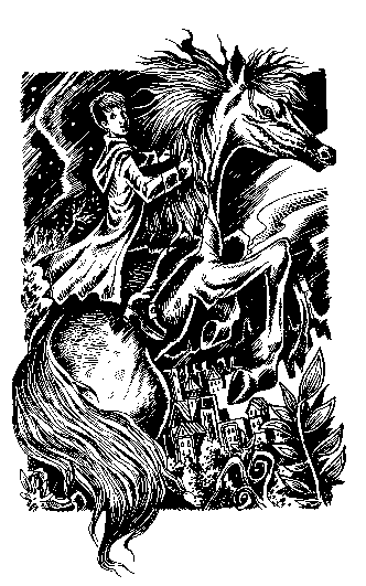 Иллюстрация к книге — Ключ от Королевства [i_007.png]