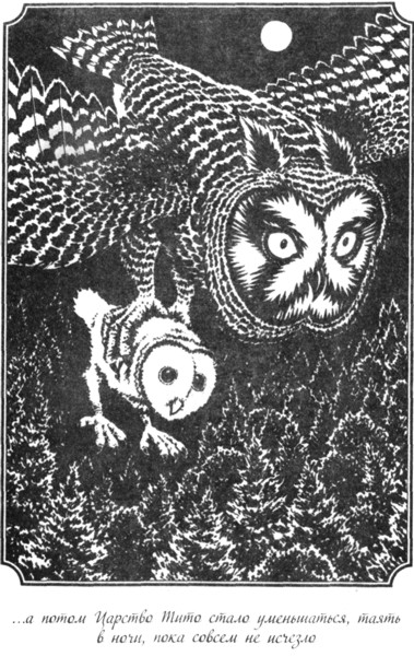 Иллюстрация к книге — Легенды ночных стражей: Похищение [i_003.jpg]