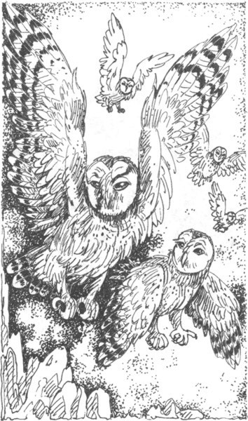 Иллюстрация к книге — Ночные стражи. Наследник [i_003.jpg]