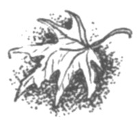 Иллюстрация к книге — Ночные стражи. Наследник [i_005.jpg]