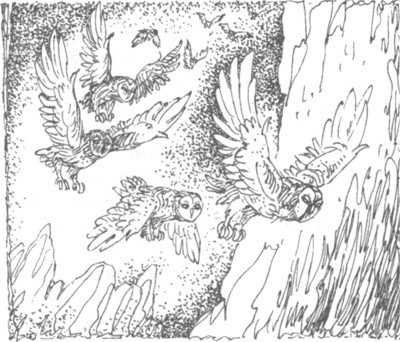 Иллюстрация к книге — Ночные стражи. Наследник [i_008.jpg]