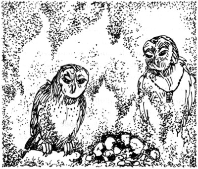 Иллюстрация к книге — Ночные стражи. Наследник [i_021.jpg]