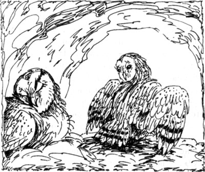 Иллюстрация к книге — Ночные стражи. Наследник [i_022.jpg]