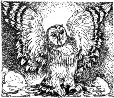 Иллюстрация к книге — Ночные стражи. Наследник [i_026.jpg]