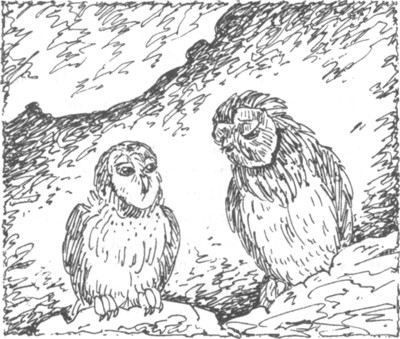 Иллюстрация к книге — Ночные стражи. Наследник [i_027.jpg]