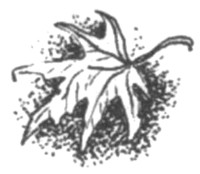 Иллюстрация к книге — Ночные стражи. Наследник [i_029.jpg]