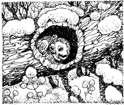 Иллюстрация к книге — Ночные стражи. Наследник [i_035.jpg]