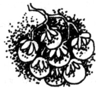 Иллюстрация к книге — Ночные стражи. Наследник [i_038.jpg]