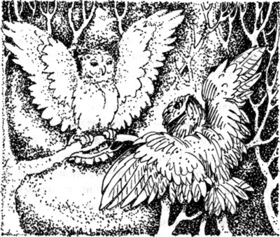 Иллюстрация к книге — Ночные стражи. Наследник [i_042.jpg]