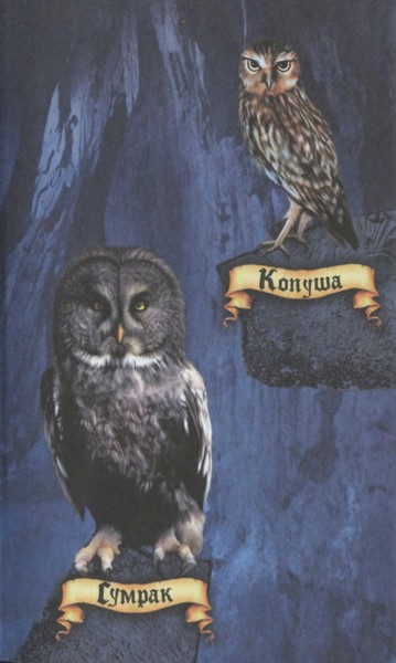 Иллюстрация к книге — Ночные стражи. Наследник [i_044.jpg]