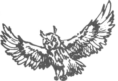 Иллюстрация к книге — Ночные стражи. Изгнанник [i_002.jpg]