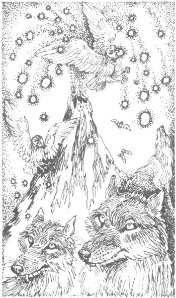 Иллюстрация к книге — Ночные стражи. Изгнанник [i_004.jpg]