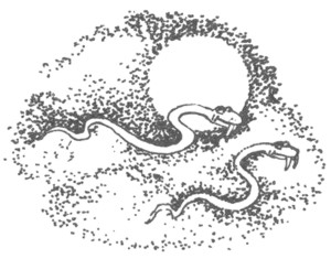 Иллюстрация к книге — Ночные стражи. Изгнанник [i_005.jpg]