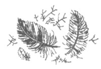 Иллюстрация к книге — Ночные стражи. Изгнанник [i_007.jpg]