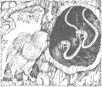 Иллюстрация к книге — Ночные стражи. Изгнанник [i_008.jpg]