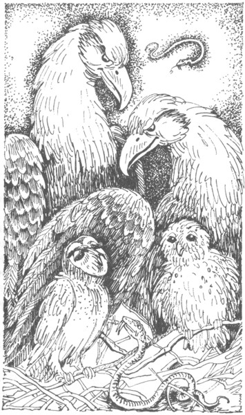 Иллюстрация к книге — Ночные стражи. Изгнанник [i_010.jpg]