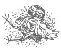 Иллюстрация к книге — Ночные стражи. Изгнанник [i_011.jpg]