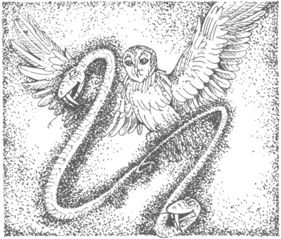 Иллюстрация к книге — Ночные стражи. Изгнанник [i_012.jpg]