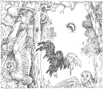 Иллюстрация к книге — Ночные стражи. Изгнанник [i_017.jpg]