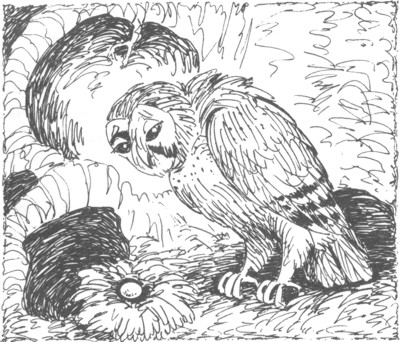 Иллюстрация к книге — Ночные стражи. Изгнанник [i_019.jpg]