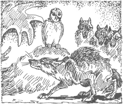 Иллюстрация к книге — Ночные стражи. Изгнанник [i_028.jpg]