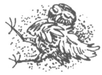 Иллюстрация к книге — Ночные стражи. Изгнанник [i_031.jpg]