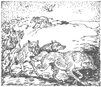 Иллюстрация к книге — Ночные стражи. Изгнанник [i_036.jpg]