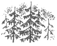 Иллюстрация к книге — Ночные стражи. Изгнанник [i_037.jpg]