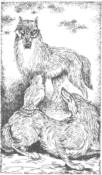 Иллюстрация к книге — Ночные стражи. Изгнанник [i_039.jpg]