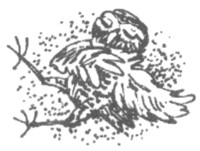 Иллюстрация к книге — Ночные стражи. Изгнанник [i_042.jpg]