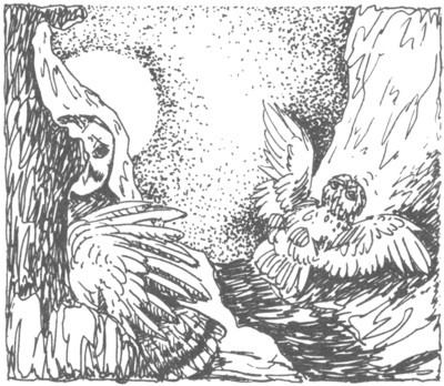 Иллюстрация к книге — Ночные стражи. Изгнанник [i_043.jpg]