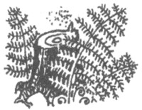 Иллюстрация к книге — Ночные стражи. Изгнанник [i_044.jpg]