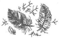 Иллюстрация к книге — Ночные стражи. Изгнанник [i_046.jpg]