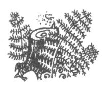 Иллюстрация к книге — Ночные стражи. Изгнанник [i_049.jpg]