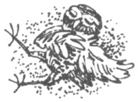 Иллюстрация к книге — Ночные стражи. Изгнанник [i_051.jpg]