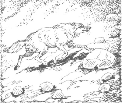 Иллюстрация к книге — Ночные стражи. Изгнанник [i_054.jpg]