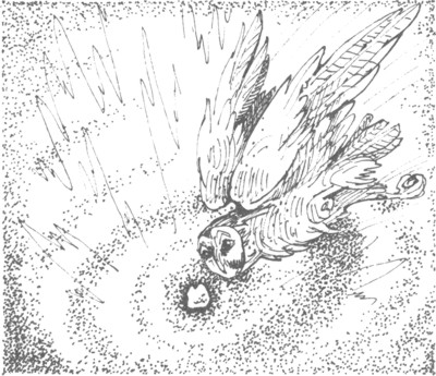 Иллюстрация к книге — Ночные стражи. Изгнанник [i_056.jpg]