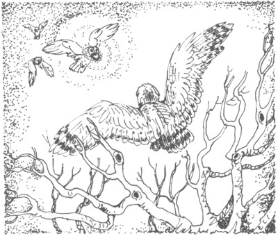 Иллюстрация к книге — Ночные стражи. Изгнанник [i_057.jpg]