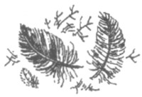 Иллюстрация к книге — Ночные стражи. Изгнанник [i_058.jpg]