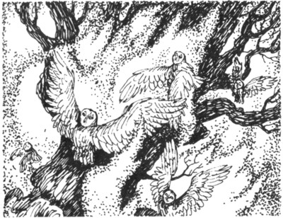 Иллюстрация к книге — Ночные стражи. Первый угленос [i_006.jpg]