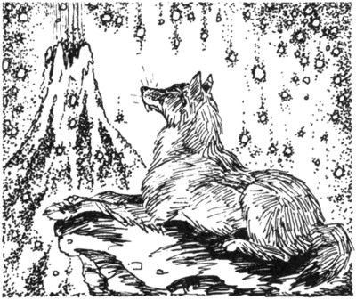 Иллюстрация к книге — Ночные стражи. Первый угленос [i_008.jpg]